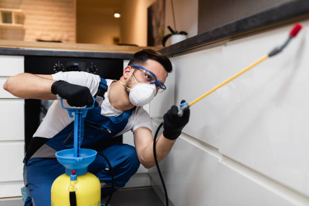 Reliable Bridgeport, MI Pest Control Solutions