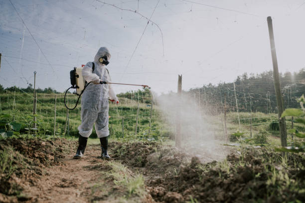 Best Best Pest Control Companies  in Bridgeport, MI