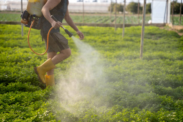Best Residential Pest Control  in Bridgeport, MI