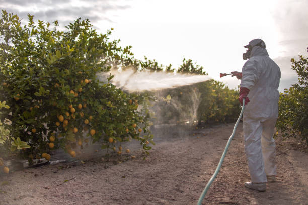 Best Insect Control  in Bridgeport, MI